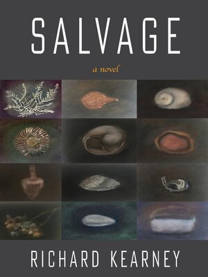cover image of Salvage